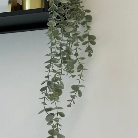 Marina Borghetto Bilocale 2 Letti Matrimoniali Parcheggio Omaggio * Borghetto Santo Spirito